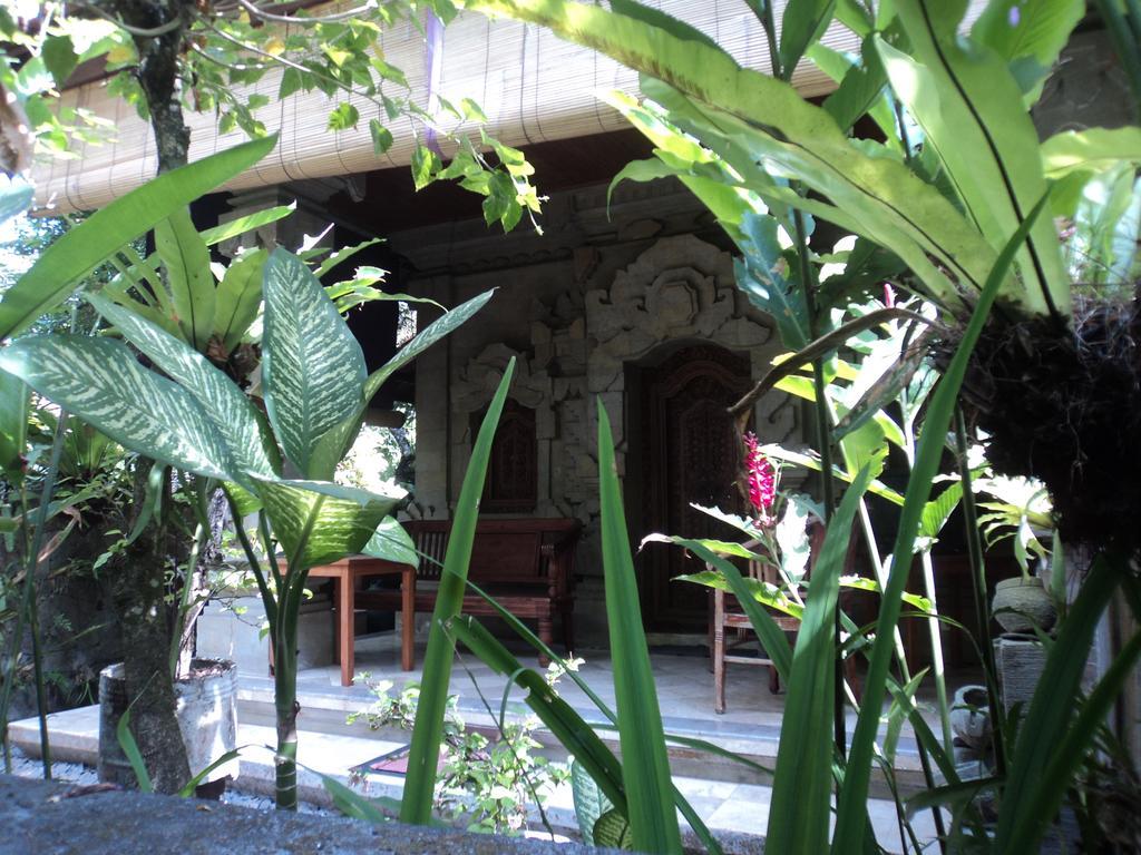 Villa Bhuana Alit Ubud Exteriér fotografie