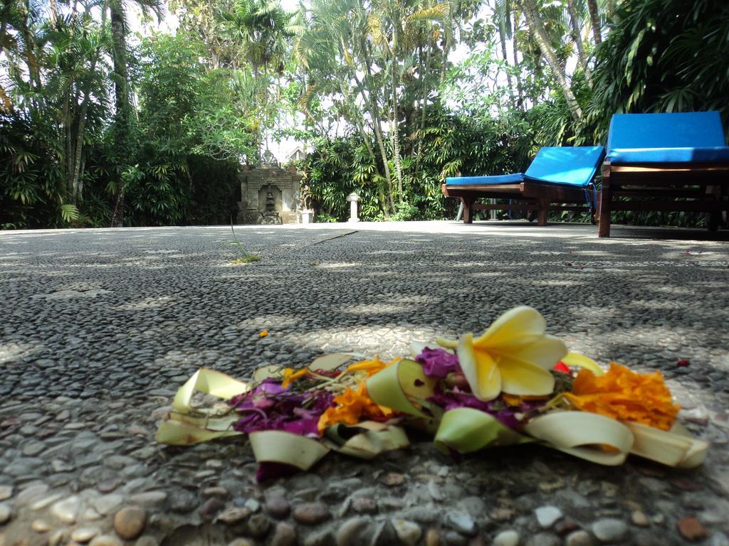 Villa Bhuana Alit Ubud Exteriér fotografie