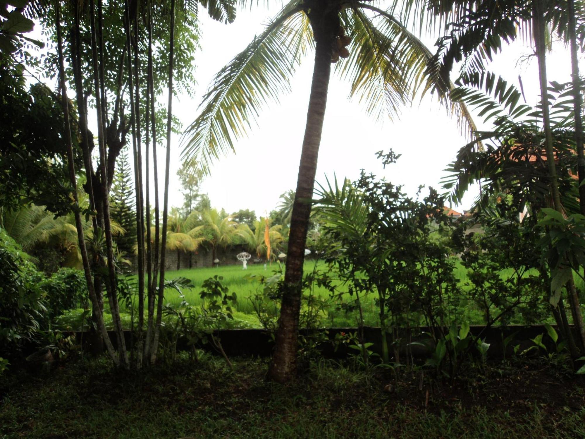 Villa Bhuana Alit Ubud Pokoj fotografie