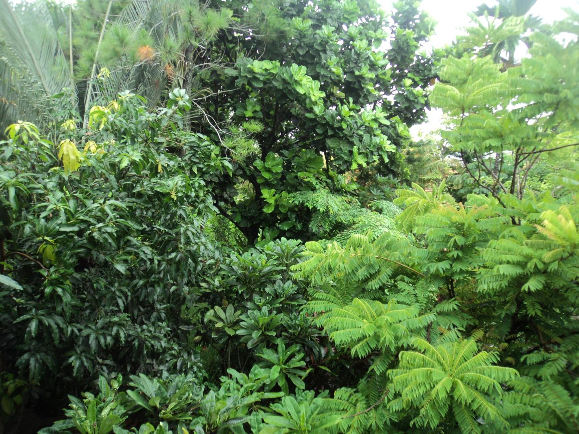 Villa Bhuana Alit Ubud Pokoj fotografie
