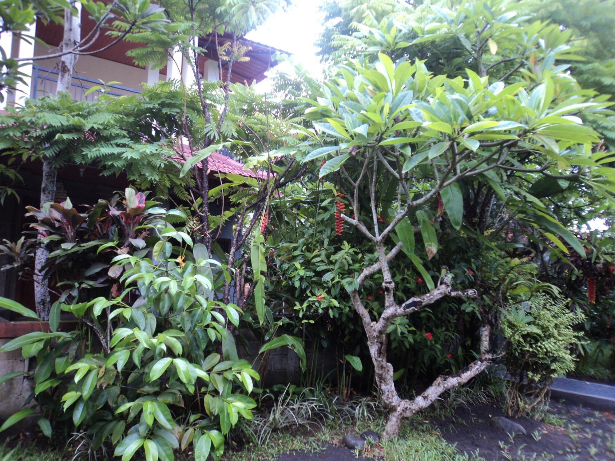Villa Bhuana Alit Ubud Pokoj fotografie