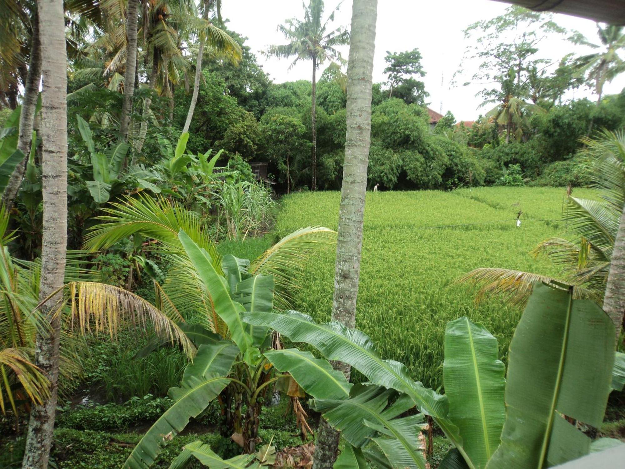 Villa Bhuana Alit Ubud Pokoj fotografie