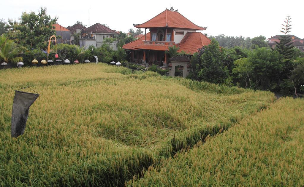 Villa Bhuana Alit Ubud Exteriér fotografie