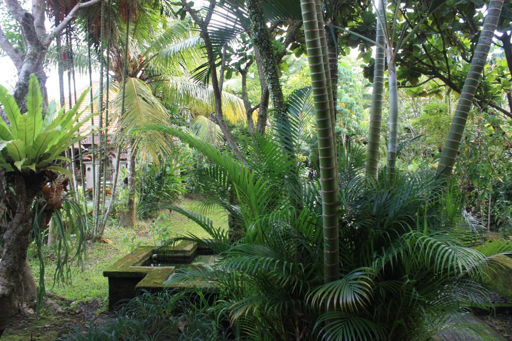 Villa Bhuana Alit Ubud Exteriér fotografie